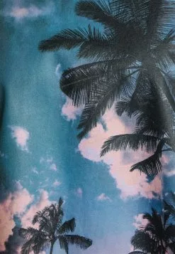 Even&Odd Damen T-Shirt Print - Black -Even&Odd Verkäufe 2023 bef9da5cfa5d4cb09ad7037ee3a6c47a